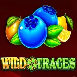 Slots logo of Wild Traces from Amusnet Interactive at Bwin Casino